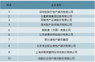 2022-2028年中國房地產(chǎn)中介服務市場全景調查與投資策略報告